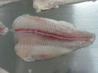 pangasius fillet