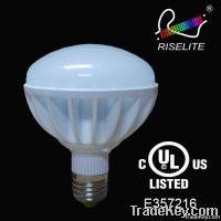 BR30 LED BULBS