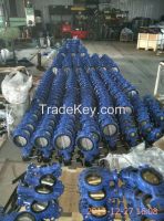 Industry Butterfly Valve/Pn10/16/150lb/JIS10k/16k Resilient Seated Butterfly Valve (D371X-10/16)