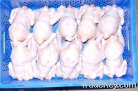 High Quality Whole Frozen Chicken