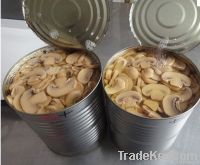 Canned Mushroom from China