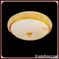 modern  ceiling light, lamp decoration