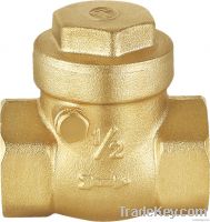 Swing Check Valve