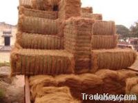 Coir fiber