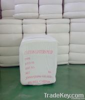 Cotton Linters Pulp