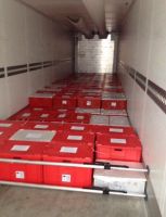 Nickel Wire 99,992 Purity