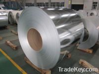 Prime hot dipped Zinc coated Steel Coil