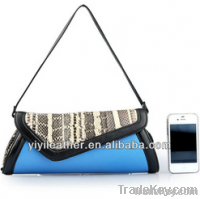 2013 Latest ladies clutch, clutch bags, evening bags 2013