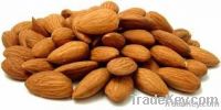 Almond Nuts