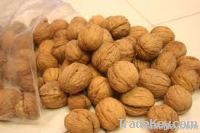 pistachio nuts