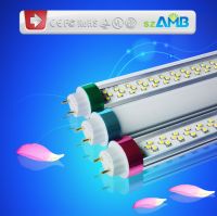 T10Led Tube