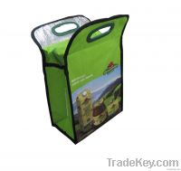 cooler bag for frozen food