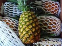 delicious sweet fresh pineapple with competitive price