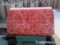prepainted galvanized steel coil /PPGI