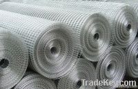 high quality galvanized weld wire mesh