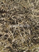 dried cut kelp