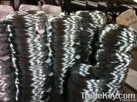 Electro Galvanized Iron Wire From China