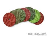 Polishing Pad