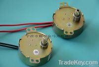 Micro Permanent Synchronous motor