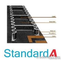 Sidewall conveyor belt