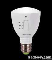Standard Rechargeable LED Light