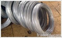 Galvanized Steel Wire