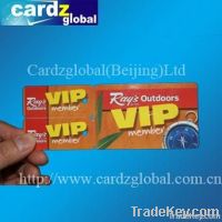 Irregular shape Card-Die Cut card-PVC key tag card