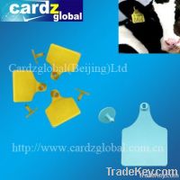 RFID ear tag for cattle