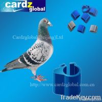 RFID animal tag for pigeon and chicken and duck