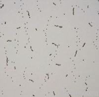 f595*595 ine fissured mineral fiber ceiling board