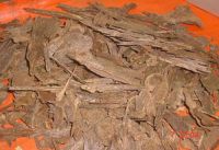 Agarwood Aloeswood Oudh Chips Ready Stock in Saudi Arabia