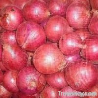 Red onion