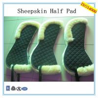 https://cn.tradekey.com/product_view/Equestrian-Horse-Products-Sheepskin-Horse-Saddle-Pad-7036274.html