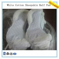 https://cn.tradekey.com/product_view/Comfort-White-Sheepskin-Horse-Half-Pad-7036506.html