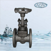 gate  valve