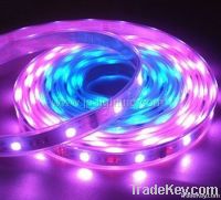 waterproof 30leds/metre SMD 5050 strip light