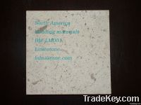 Beige Limestone suppliers, exporter