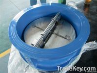cast iron  Wafer Type Check Valve