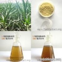 Aloe Vera Extract Powder
