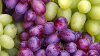 Cavendish Bananas/Fresh Gala Apples/Fresh Apricots/Fresh Avocados/Fresh Berries/Fresh Cherries/Fresh Citrus Fruit/Fresh Coconuts/Fresh Grapes/ Fresh Guava/Fresh Kiwi Fruit