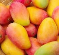  Fresh Fuji Apples/Fresh Mangos/Fresh Mangosteen/Fresh Melons/Fresh Oranges/Fresh Pineapples/Fresh Pomegranates/Fresh Water Melons/Fuji Apples/Young Coconuts/Fresh Lemons From South Africa