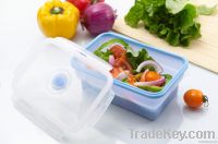 Collapsible preserving box