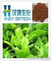 high quality green tea extract