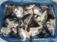 Salmon Heads 400g