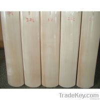 SS TON PLAIN LE CRICKET BAT