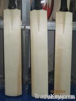 English Willow Cricket Bat