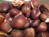 Hot Sale High Quality Chestnut