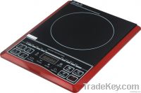 Induction Cooker with POT