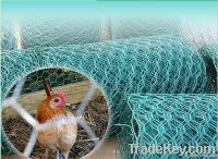 GALVANIZED HEXAGONAL WIRE NETTING