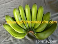 SELL FRESH BANANAS